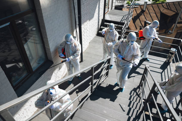 Mold Remediation for Rental Properties in Colonia, NJ