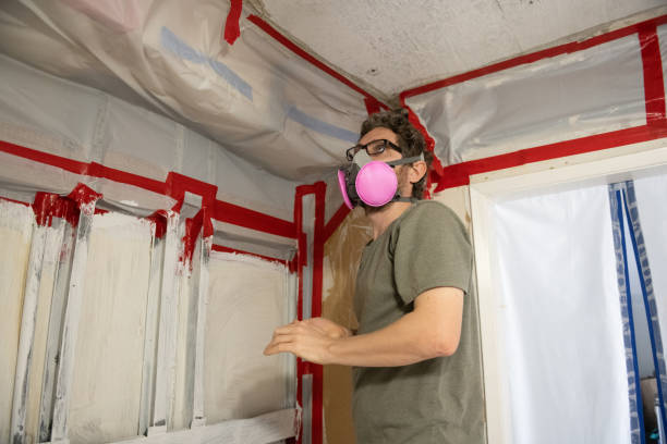 Best Water Damage & Mold Remediation  in Colonia, NJ