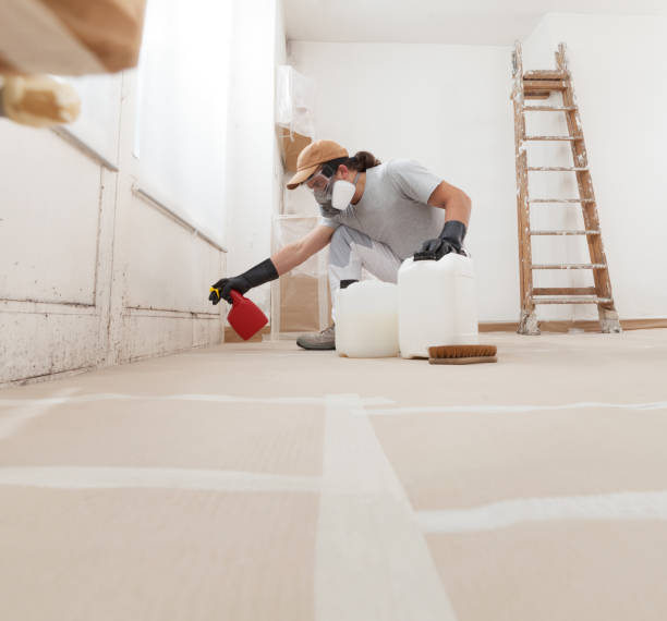 Best Air Quality Testing for Mold Spores  in Colonia, NJ